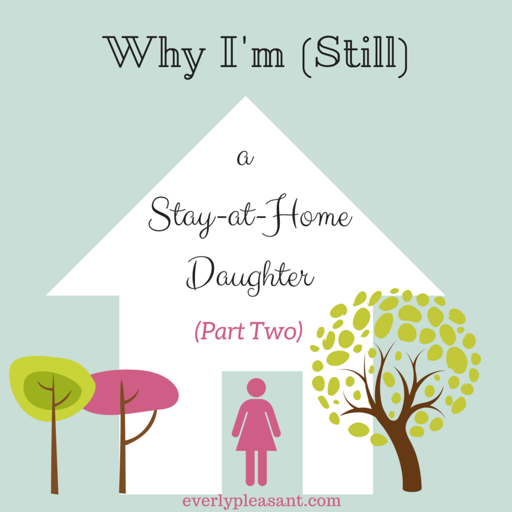 Why I’m Still a SAHD (Part Two: Other Reasons)